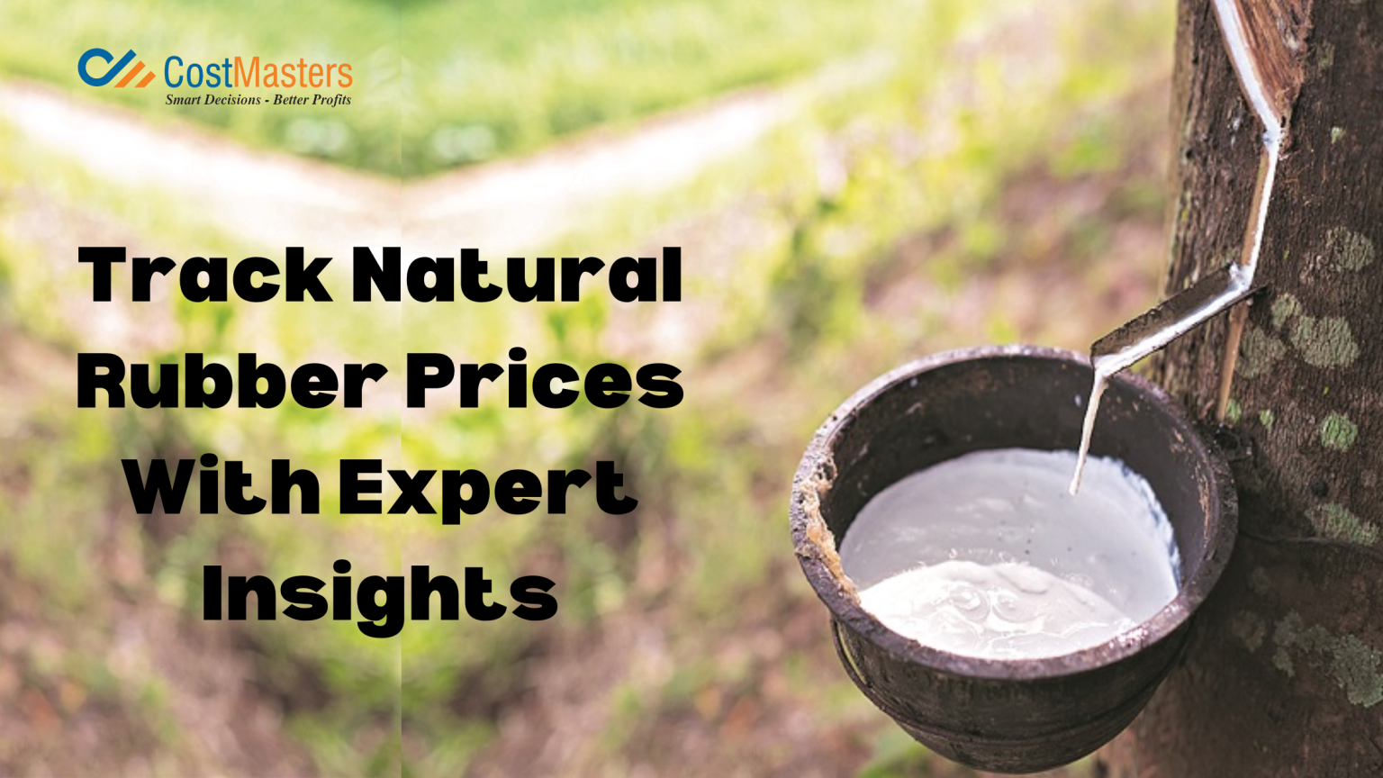 Natural Rubber Price in India Track Live Prices with Expert Insights
